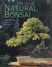 The Art of Natural Bonsai Replicating Nature's Beauty David Joyce