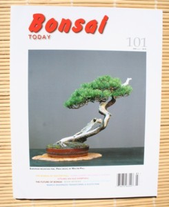 Bonsai Today 101 2006 Issue 1