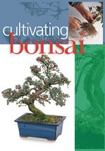 CULTIVATING BONSAI