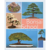 BONSAI SCHOOL Craig Coussins