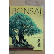 Tropical Bonsai by Pedro Morales  Spanish version
